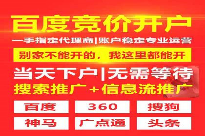 某大型平台开户返点效果评估报告
